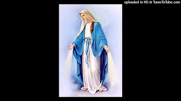 Nữ vương mân côi - Lm Nguyễn Sang