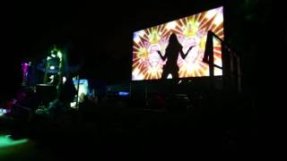 Farm Party 2016