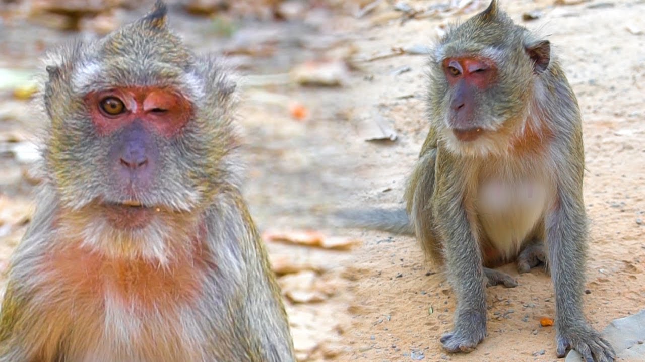 Real Life Mommy vegas atfer no baby vigo for hug She Really Skinny