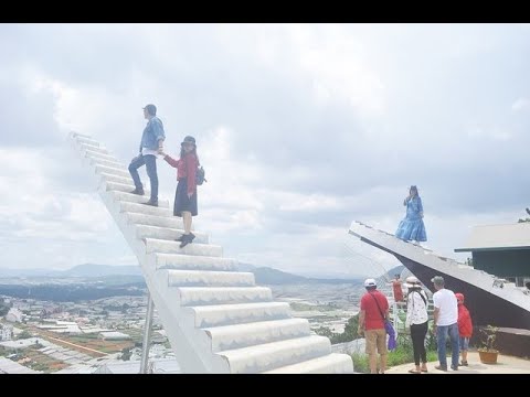 Video REVIEW Quán cà phê Sunny farm Đà Lạt - Nấc thang lên... - youtube