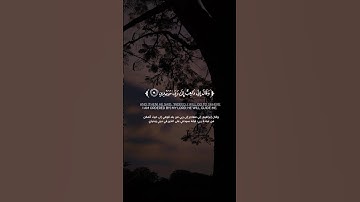 تــلاوة مـن ســورة الصافات | الشيخ القارئ صلاح المصلي | سورة الصافات