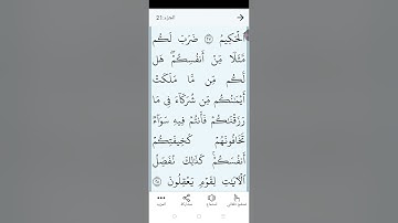 سورة  الروم  بالتجويد المبسط والتلاوه الصحيحه الصفحه (٤٠٧) آيه (٢٨)