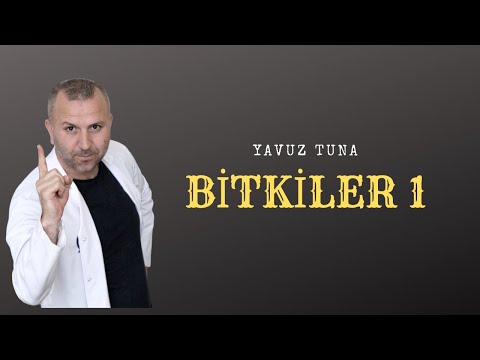 BİTKİLER -1  #tytcoğrafya #aytcoğrafya #coğrafya #kpsscoğrafya