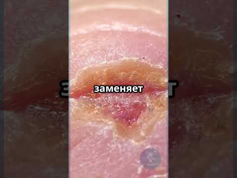 😱 Внутри твоего тела прямо сейчас… #биология #шокфакт #IQCheck #человектайны #shorts #shortvideo