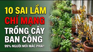 10 Sai Lầm Chí Mạng Khi Trồng Cây Trên Ban Công, 99% Người Mới Thường Mắc Phải