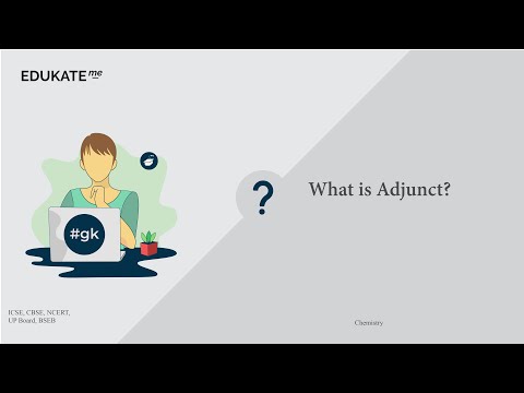 What is Adjunct?
