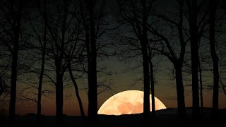 A Gaelic Blessing by John Rutter - The Colorado Choir
