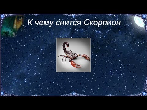 К чему снится Скорпион Сонник
