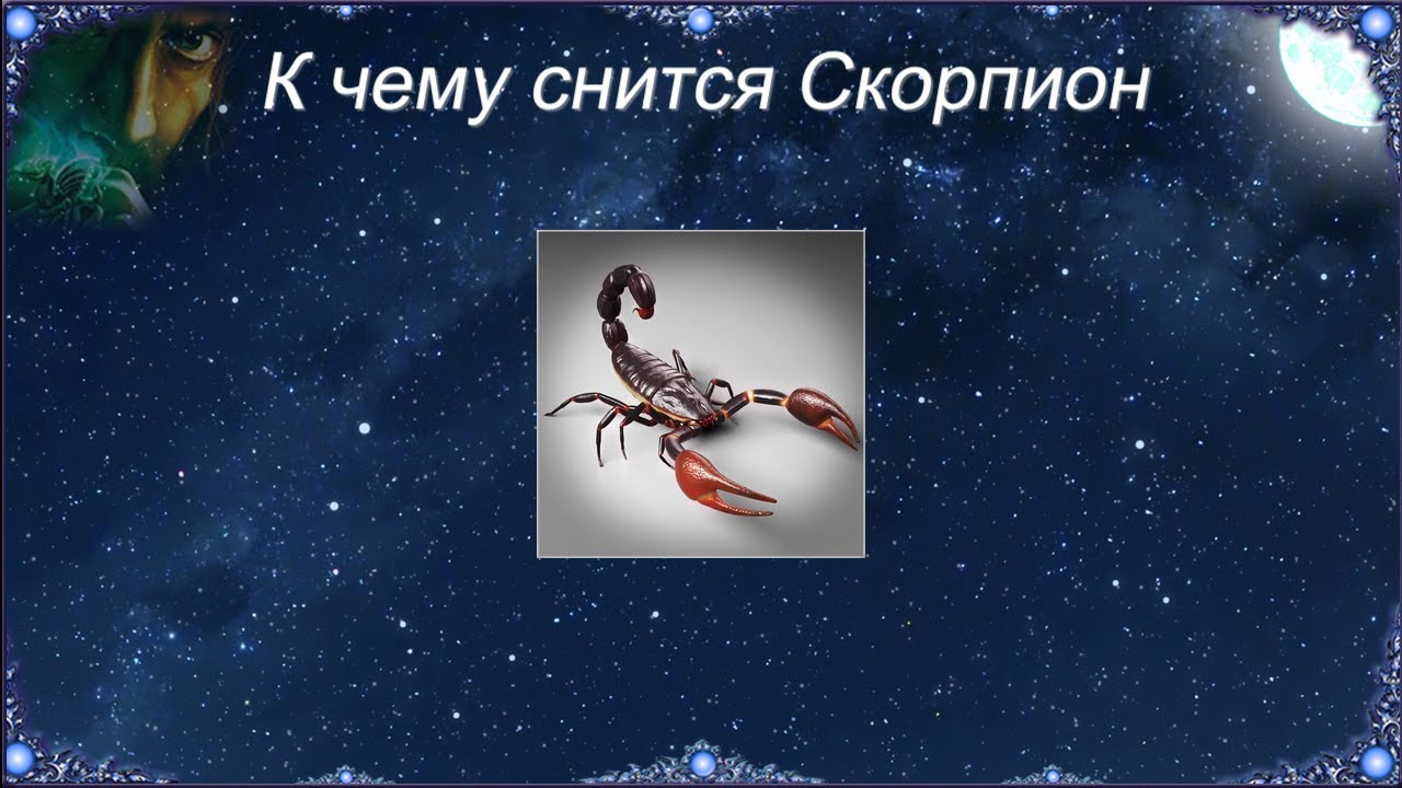 К чему снится Скорпион (Сонник)