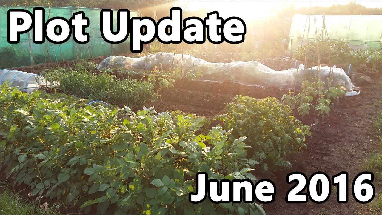 Plot Update June 2016 - YouTube