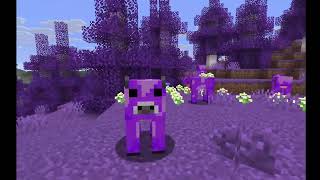 My Datapack (TRAILER #1)