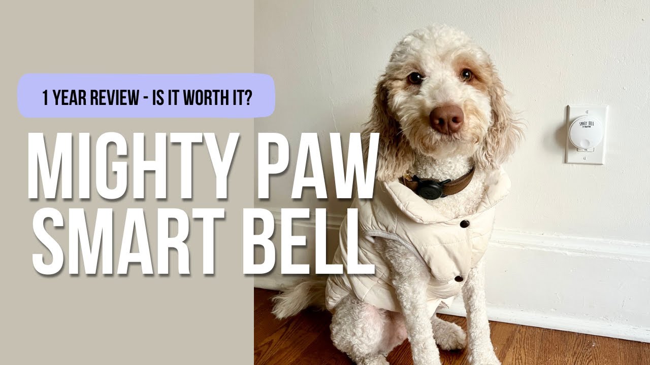 I got this smart bell to potty train my pup a little over 18 months ago, here's my take on it!