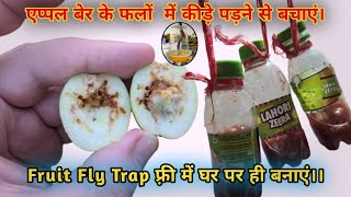Fruit fly trap kese banaye.  Fruit fly trap फ्री में घर पर ही बनाएं। #fruitfarming #appleber