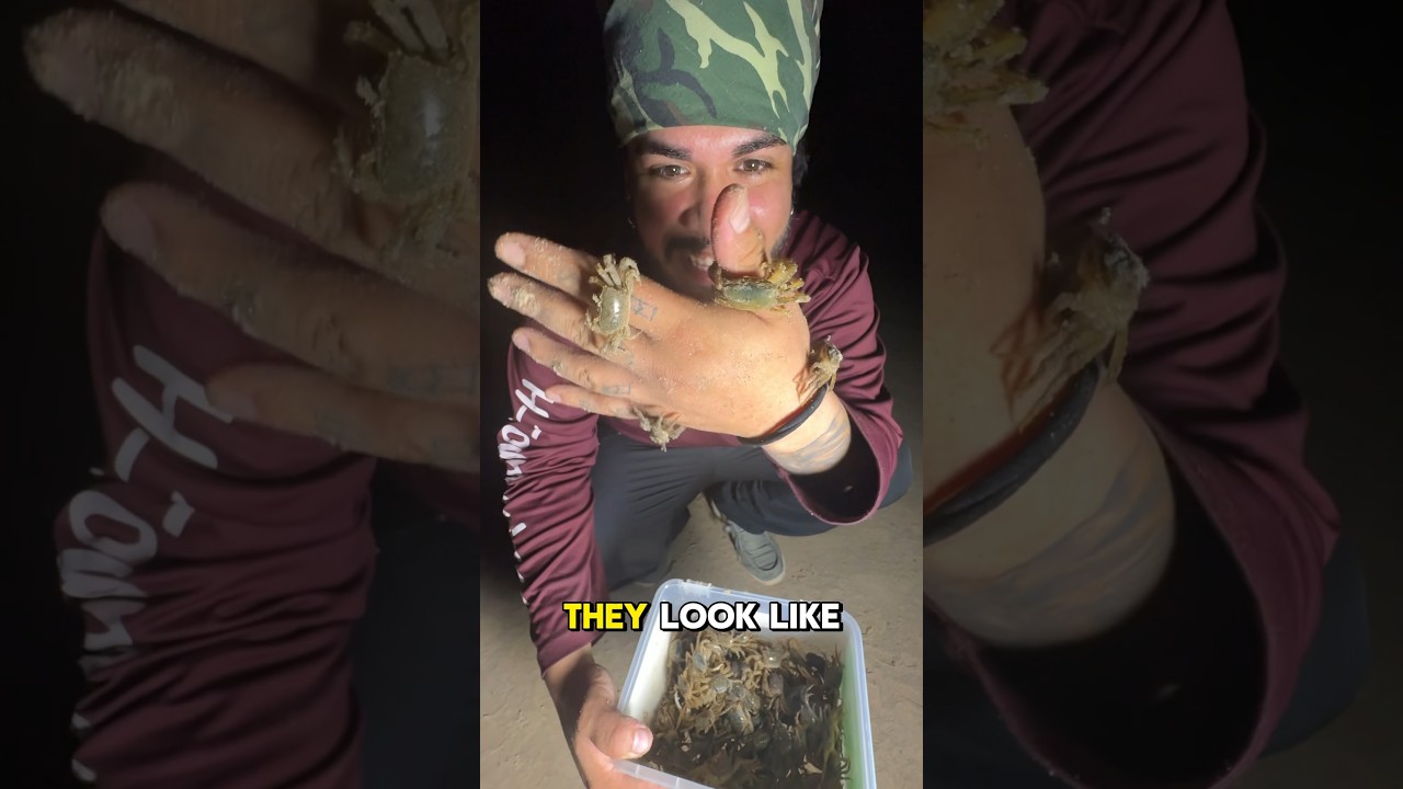 No ONE knows about this SECRET BAIT 🤫🦂 