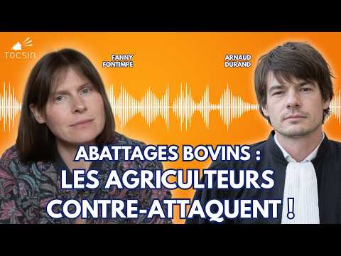 Action collective historique : agriculteurs et consommateurs unissent leurs forces contre l’UE