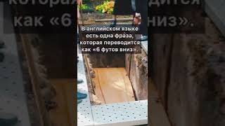 That's why people are buried in a 2-meter pit. Вот почему людей хоронят в 2 метровой яме . #смерть