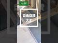 自画自賛大工