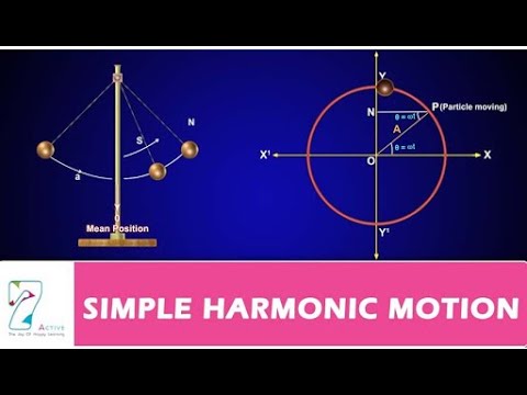 10th Class Physics, Ch 10, Simple Harmonic Motion - Class 10th Physics ...