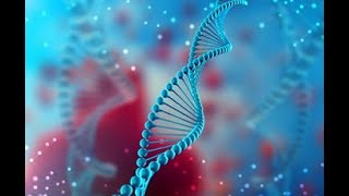Dr. Karen Explains DNA SNPs