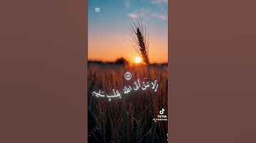 القرآن الكريم سورة الشعراء ❤️❤️🥹