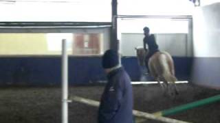 Bailey palomino mare jump