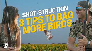 Information Don't Hunt Dove Until You Watch This | 3 Tips to Bag More Birds Guide
