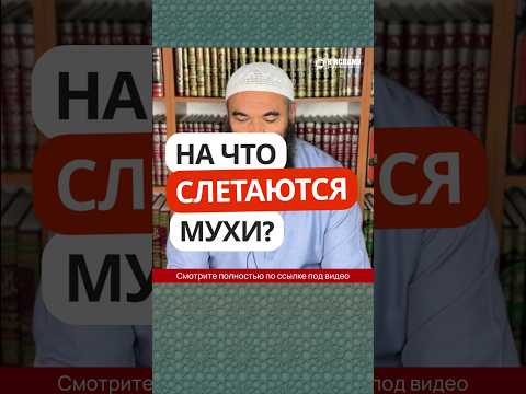 На что слетаются мухи? #Shorts Ринат Абу Мухаммад