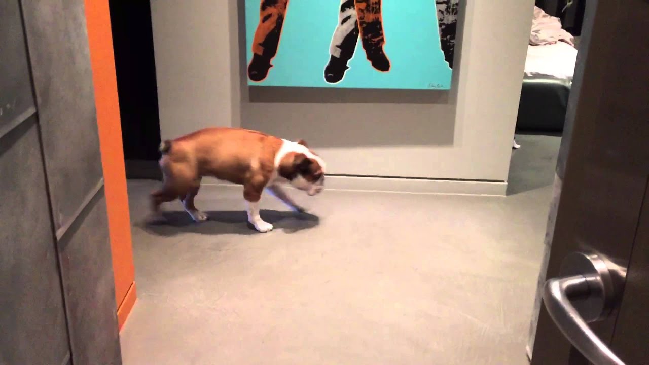 The fear of hallways is real YouTube