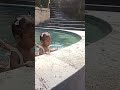 Nemenin Anak Gadis Mandi Dikolam 