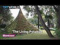 Agnes Denes | ‘The Living Pyramid’