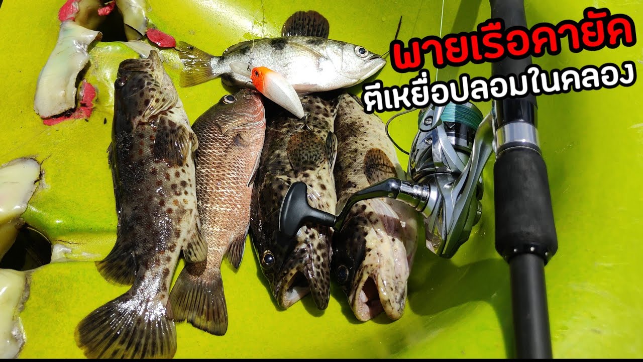 พายเรือคายัคตีเหยื่อปลอมในคลองธรรมชาติ | ป่าโกงกาง