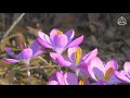 Спокойная расслабляющая музыка для отдыха и сна.