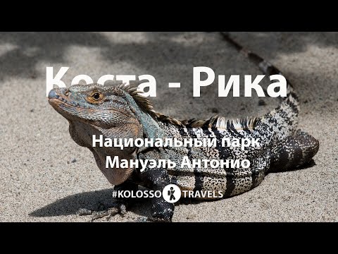 Видео: Пътеводител до Коста Рика - топ 5 национални паркове