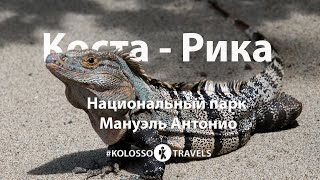 Видео Kolossotravels. Коста-Рика. Тихоокеанское побережье. Национальный парк Мануэль Антонио (автор: KOLOSSOTRAVELS)