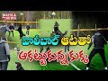 Watch: Kiara dog playing volley ball at Norwegian beach