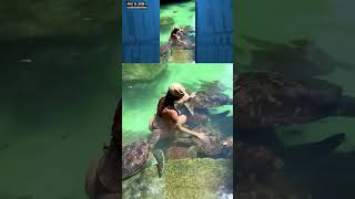 This turtle is known for being in swamps and bachelorette parties.