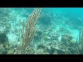 Catamaran Snorkel Sail - Nassau, Bahamas - January 2022