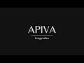 Image Video Software App Entwicklung Datenanalyse APIVA Group