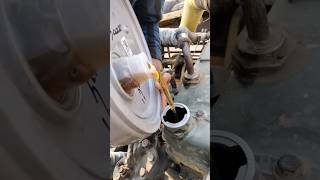 How oil put is in engine