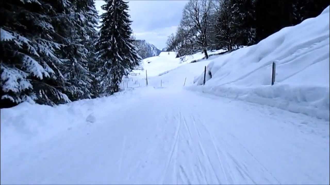 Awesome Grindelwald Swiss Sledge Ride YouTube