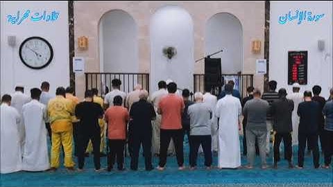 "إن الأبرار يشربون من كأس كان مزاجها كافورا" تلاوة ماتعة لأبي حفص هاني ابن نورالدين من سورة الإنسان