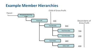 Celebrity Hierarchical Dimensions and Smart View - Smart View Training Course - 22 Profile