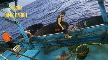 Tập 13 NGHỀ CÂU MỰC bằng THÚNG~3