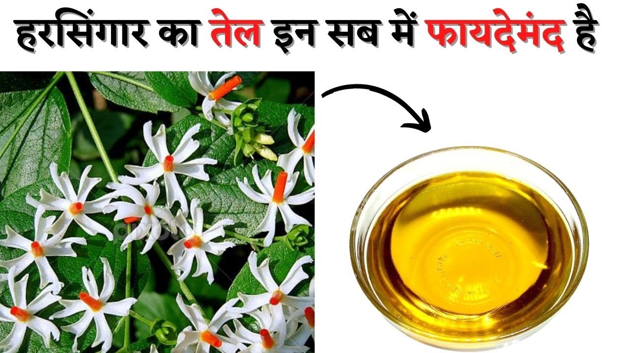  Health Benefits Of Parijat Flower Oil 