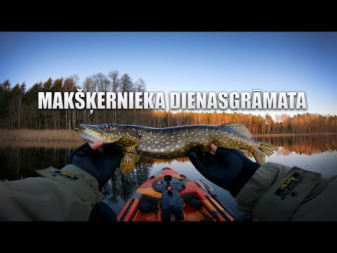 Video: Kapsasalat Herneste Ja Krutoonidega