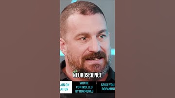 Unleashing the Power of Dopamine: The Key to Motivation and Reward