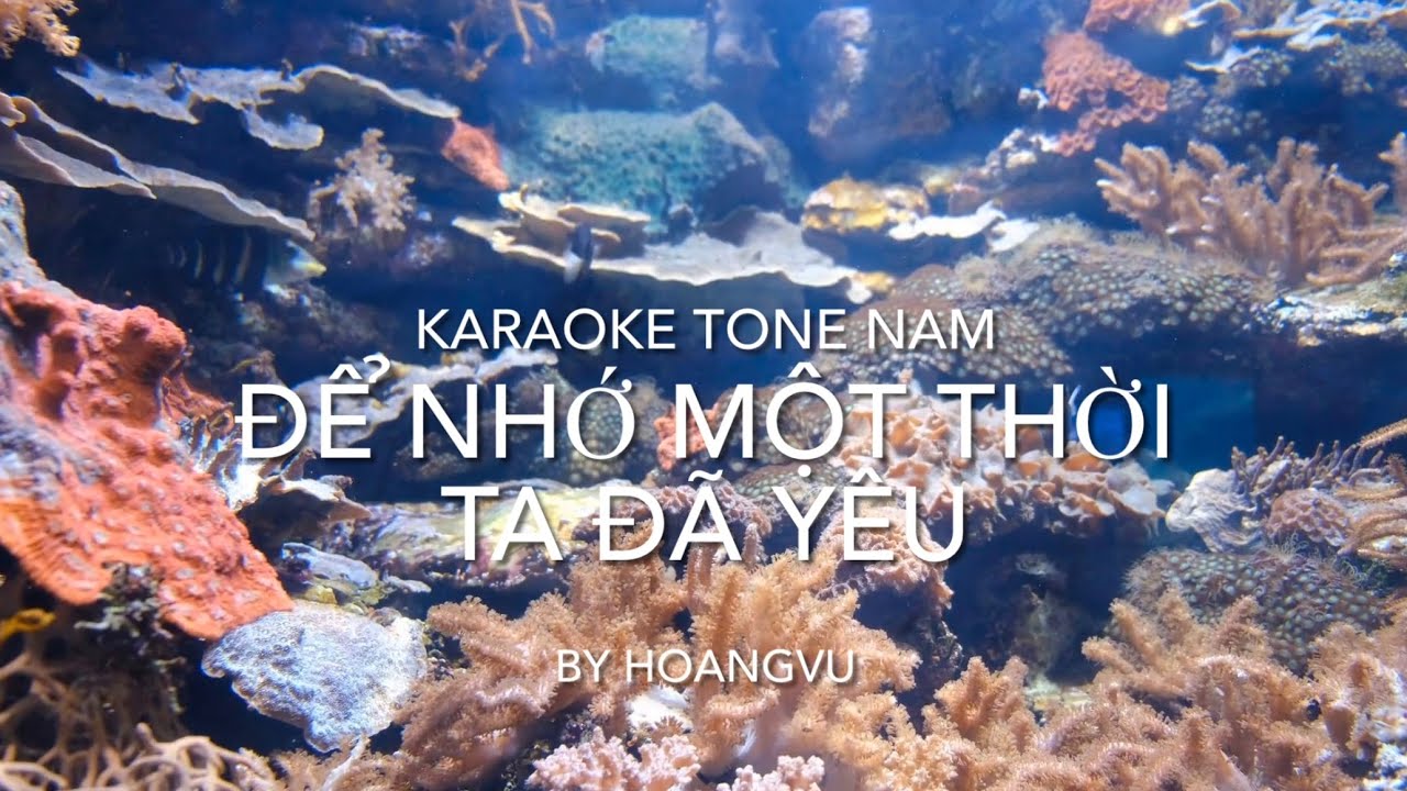 Để Nhớ Một Thời Ta Đã Yêu - Thái Thịnh - Karaoke Tone Nam - By Hoangvu 