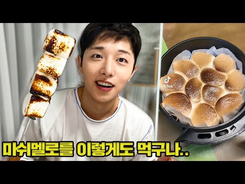 틱톡에서 유행하는 마쉬멜로 구워먹는 다양한 유형!!