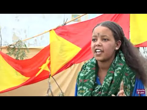 ቪዲዮ: አምባገነን በወረራ ላይ ብሩህ ሊሆን ይችላል?