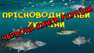 Прісноводні риби занесені до Червоної книги України. Ловити заборонено!